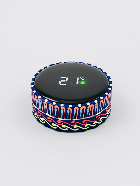 Hand-painted Water Bottle with Digital Temperature Display D04-003