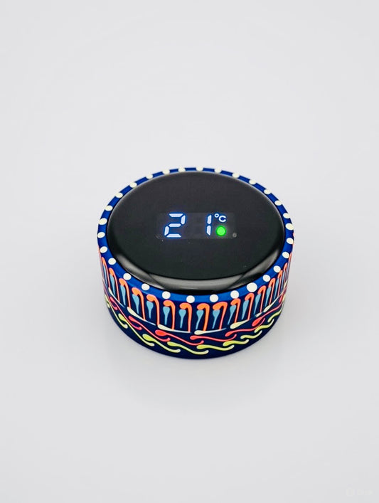 Hand-painted Water Bottle with Digital Temperature Display D03-003