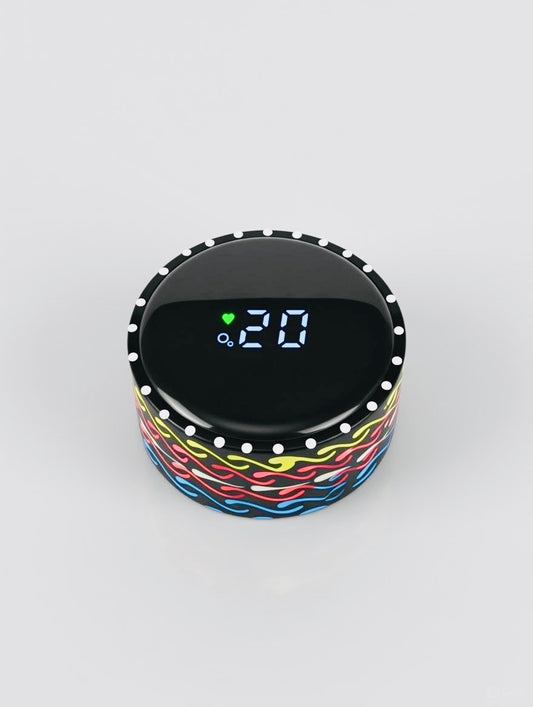 Hand-painted Water Bottle with Digital Temperature Display 006