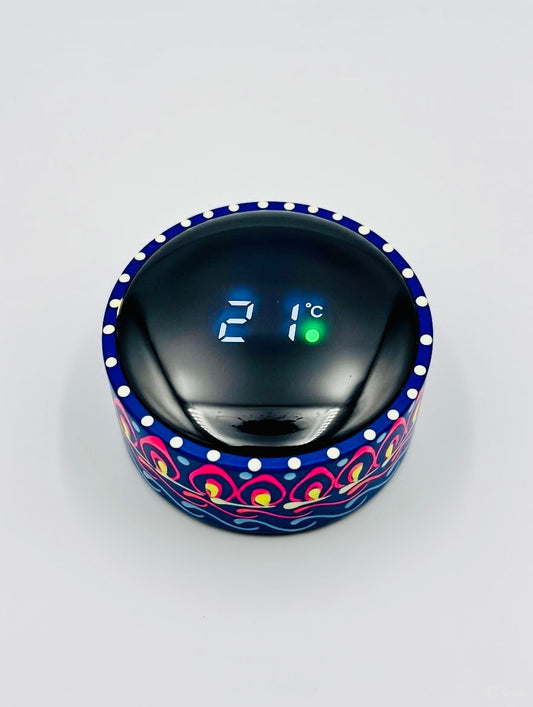 Hand-painted Water Bottle with Digital Temperature Display D01-003