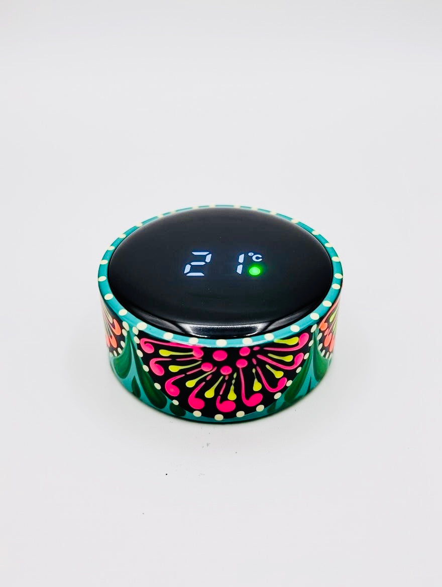 Hand-painted Water Bottle with Digital Temperature Display D01-007