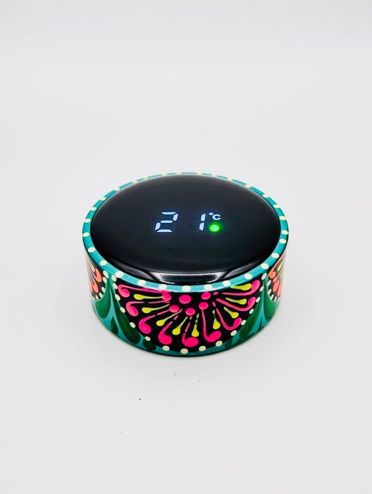 Hand-painted Water Bottle with Digital Temperature Display D01-007