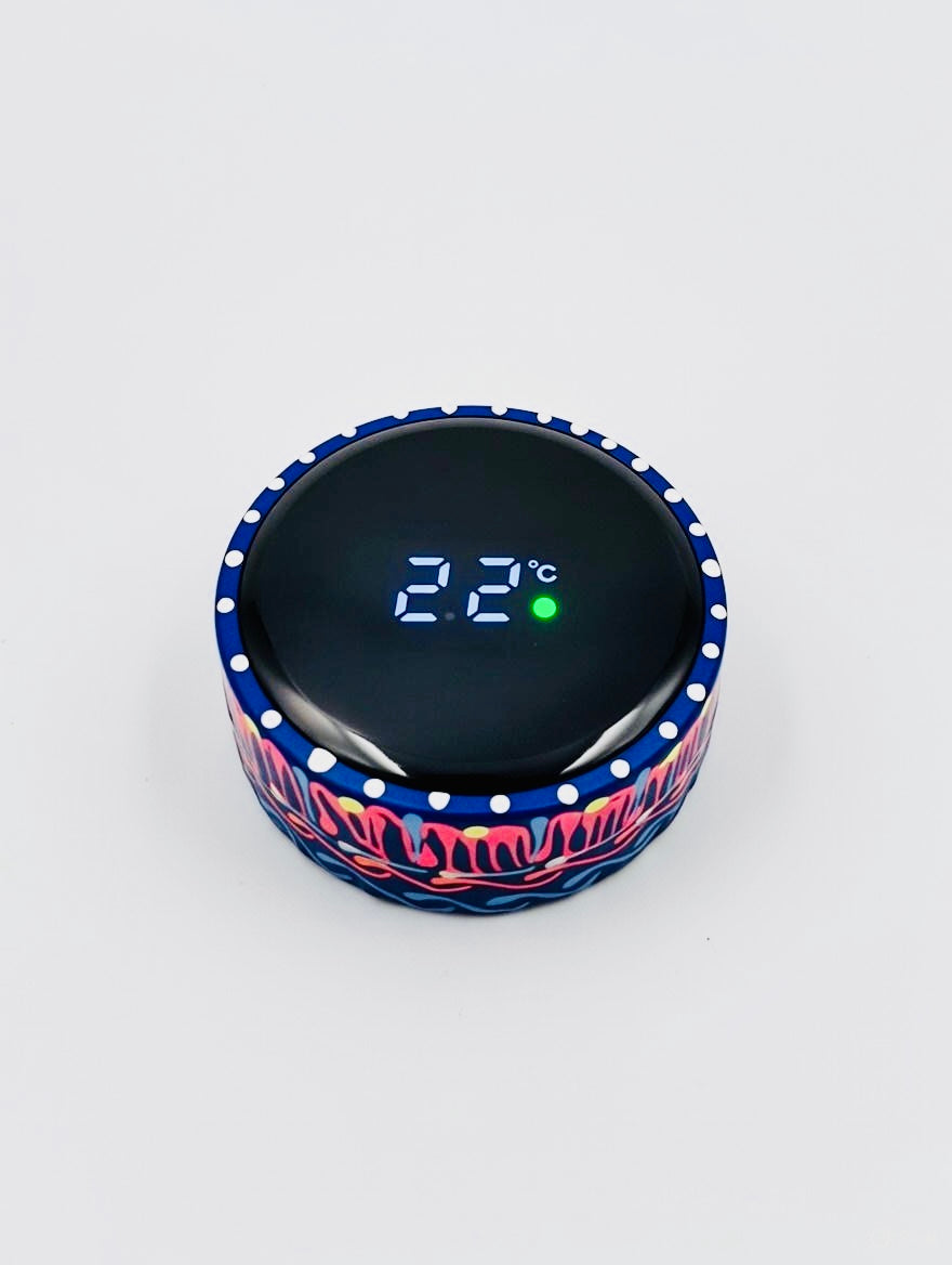 Hand-painted Water Bottle with Digital Temperature Display D02-003
