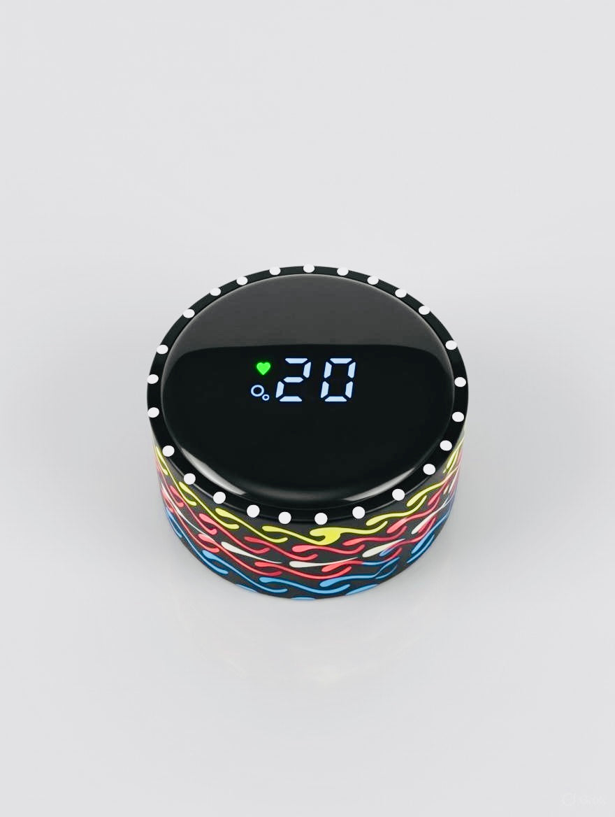 Hand-painted Water Bottle with Digital Temperature Display 006